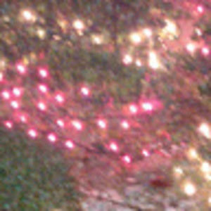 Meet your Posher, Ricky